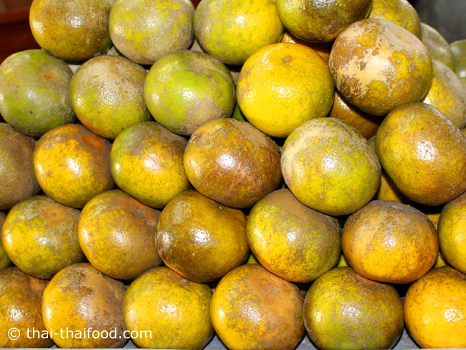 ส้ม - Thai Food