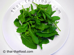 ใบกะเพรา