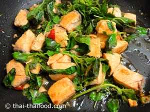 จัดเสิร์ฟ ผัดกะเพราปลาแซลมอน