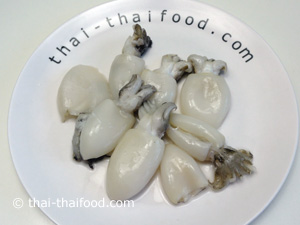 ปลาหมึก