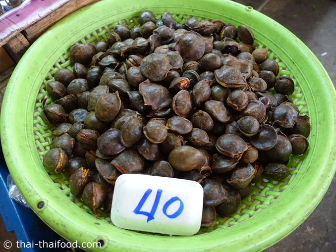 ผลลูกเนียง