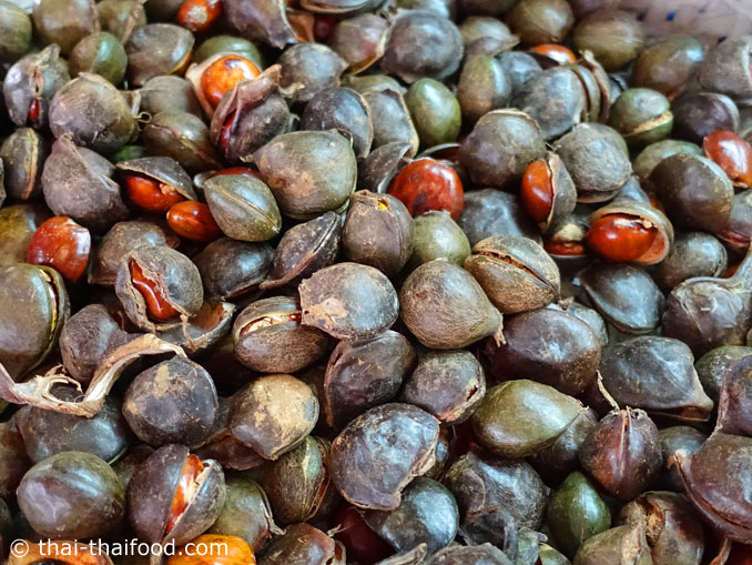 ลูกเนียง