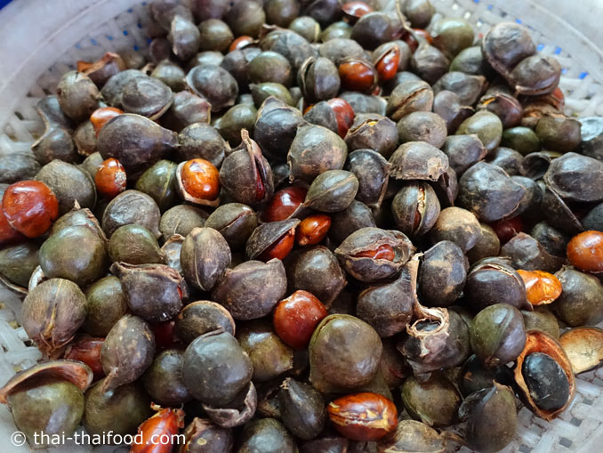 เมล็ดลูกเนียง