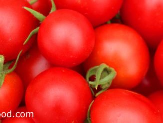 มะเขือเทศ (Tomato) เป็นเป็นพืชล้มลุก เป็นพืชผักผลไม้