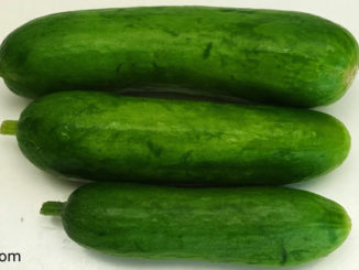 แตงกวา (Cucumber) เป็นไม้เลื้อย ที่จัดอยู่ในวงศ์ตระกูลเดียวกันกับแตงโม ฟักทอง บวบ มะระ น้ำเต้า