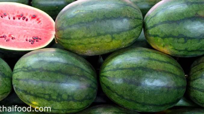 แตงโม-Watermelon เป็นพืชล้มลุก มีอายุสั้น ลำต้นเป็นเถาเลื้อย