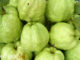 ฝรั่ง-guava เป็นไม้ยืนขนาดกลาง เป็นผลไม้ มีรสชาติหวานกรอบ มีกลิ่นหอม