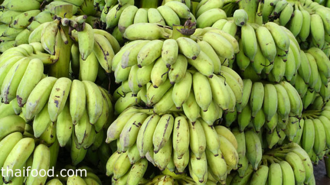 กล้วยน้ำว้า (Cultivated Banana) เป็นกล้วยพันธุ์พื้นบ้านของไทย