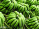 กล้วยหอม (Cavendish Banana) เป็นพันธุ์กล้วยชนิดหนึ่ง มีหลายสายพันธุ์