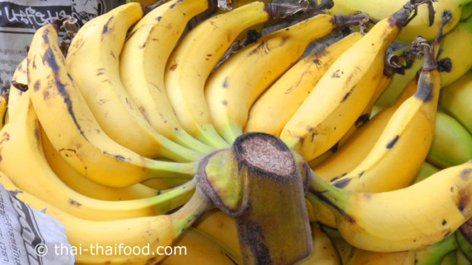 กล้วยเล็บมือนาง (Lebmuernang Banana) เป็นพืชตระกูลกล้วย เกิดจากกล้วยป่ากลายพันธุ์