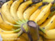 กล้วยเล็บมือนาง (Lebmuernang Banana) เป็นพืชตระกูลกล้วย เกิดจากกล้วยป่ากลายพันธุ์