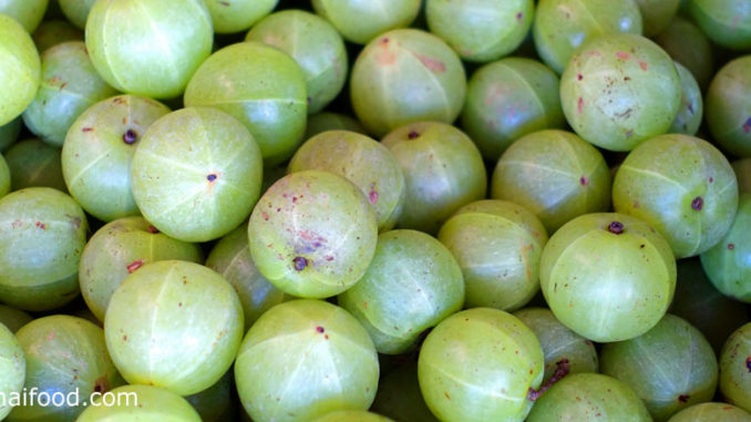มะขามป้อม (Indian Gooseberry) ผลทรงกลม ผิวเปลือกบางเรียบเกลี้ยงเป็นมัน ผลมีสีเขียวอ่อนใส เนื้อนุ่มฉ่ำน้ำ มีรสชาติเปรี้ยวอมฝาด มีถิ่นกำเนิดในประเทศอินเดีย