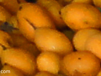 มะยงชิด (Plango) เป็นผลไม้มีลักษณะคล้ายกับมะปราง ผลมีรูปทรงไข่กลมรี ผิวเปลือกหนากว่ามะปราง ไม่มียาง ผลใหญ่กว่ามะปราง