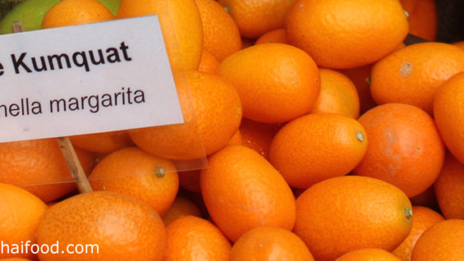 ส้มจี๊ด (Kumquat) เป็นพืชตระกูลส้มชนิดหนึ่ง ผลมีทรงกลม มีขนาดเล็ก เปลือกหนาผิวเรียบเกลี้ยงลื่น ใช้เปลือกรับประทานได้ มีรสชาติเปรี้ยวจัด