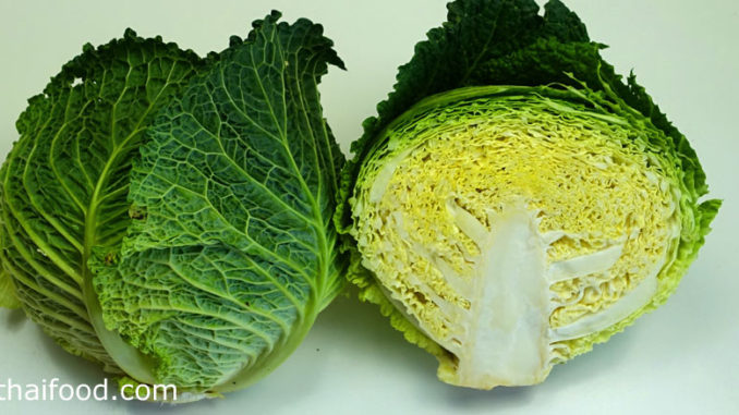 กะหล่ำปลีใบย่น (Savoy Cabbage) เป็นกะหล่ำปลีชนิดหนึ่ง มีใบกว้างเป็นคลื่นย่นมาก ผิวใบหยิกย่นขอบใบย่น หุ้มซ้อนกันแน่นหลายชั้นกลมแน่น มีสีเขียวรสชาติหวานกรอบ
