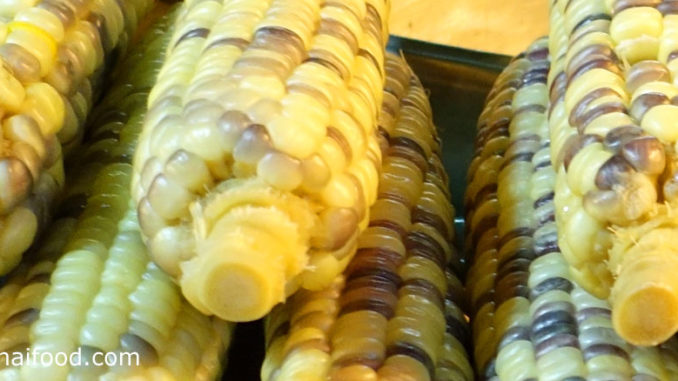 ข้าวโพดข้าวเหนียว (Waxy Corn) เป็นข้าวโพดชนิดหนึ่ง มีเยื่อหุ้มเมล็ดสีเหลือง สีขาว สีขาวนวล สีส้ม สีม่วง หรือมีหลายสีในฝักเดียวกัน เนื้อเหนียวนุ่มคล้ายขี้ผึ้งรสชาติหวานมัน