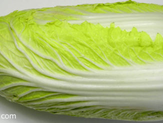 ผักกาดขาว (Chinese Cabbage) ลำต้นตั้งตรงกลมๆ มีก้านใบหนาและยาวอวบน้ำ ออกเรียงสลับโดยรอบๆปกคลุมที่ลำต้น ห่อปลีหรือไม่ห่อปลีตามสายพันธุ์ มีสีเขียวอ่อน รสชาติหวานกรอบ