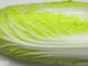 ผักกาดขาว (Chinese Cabbage) ลำต้นตั้งตรงกลมๆ มีก้านใบหนาและยาวอวบน้ำ ออกเรียงสลับโดยรอบๆปกคลุมที่ลำต้น ห่อปลีหรือไม่ห่อปลีตามสายพันธุ์ มีสีเขียวอ่อน รสชาติหวานกรอบ