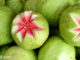 ฝรั่งไส้แดง (Red Guava) เป็นฝรั่งพันธุ์หนึ่ง ผลมีทรงกลมสีเขียวอมเหลือง ข้างในมีเนื้อสีขาว เนื้อแน่นฉ่ำน้ำ มีไส้ตรงกลางมีสีชมพูหรือสีแดง มีเมล็ดเกาะติดอยู่มาก รสชาติหวานกรอบกลิ่นหอม