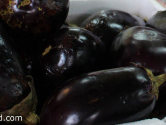 มะเขือม่วง (Brinjal Eggplant) เป็นมะเขือชนิดหนึ่งมีสีม่วง ลำต้นมีขนอ่อนๆปกคลุม ผลมีลักษณะทรงกลมรี รูปไข่ทรงรี หรือกลมแป้น ตามสายพันธุ์ ผิวบางเรียบเป็นมันมีสีม่วง เนื้อนุ่มฉ่ำน้ำ มีรสชาติหวานปนขื่น