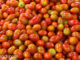 มะเขือเทศเชอร์รี่ (Cherry Tomato) ผลกลมรีหรือทรงรี มีขนาดเล็ก ผิวบางเรียบเป็นมัน ผลสุกจะมีสีเหลือง สีส้ม หรือสีแดง ตามสายพันธุ์