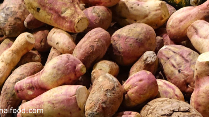 มันเทศ (Sweet Potato) เป็นพืชล้มลุกไม้เถาเลื้อย มีรากที่สะสมอาหาร แล้วขยายตัวออกเป็นหัวอยู่ใต้ดิน มีรสชาติหวานมัน