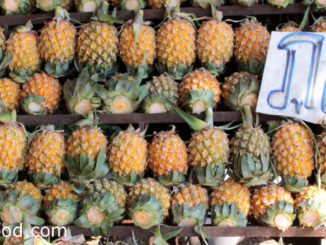 สับปะรดภูแล (Chiangrai Phulae Pineapple) เป็นสับปะรดพันธุ์หนึ่ง มีถิ่นกำเนิดในตำบลนางแล จังหวัดเชียงราย ผลกลมขนาดเล็กสีเหลือง เนื้อนุ่มฉ่ำน้ำสีเหลือง รสชาติหวานกรอบ