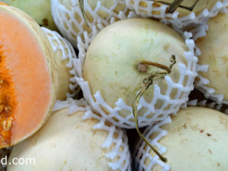 แคนตาลูป (Cantaloupe) ผลทรงกลม เปลือกแข็งผิวเรียบ หรือผิวมีลายตาข่ายนูนสีขาวทั่วผล มีสีเขียว สีเหลือง สีส้ม หรือสีขาวครีม ตามสายพันธุ์ รสชาติหวานหอมเย็น