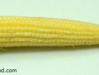ข้าวโพดอ่อน (Baby Corn) ฝักทรงกระบอก หุ้มด้วยกาบบาง ฝักอ่อนสีเขียว ข้างในมีเส้นไหมยาว มีเมล็ดอ่อนเป็นไข่ขนาดเล็กๆ เรียงอยู่สีเหลืองนวล เนื้อนุ่มฉ่ำน้ำรสชาติหวานกรอบ