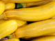 ซูกินีสีเหลือง (Golden Zucchini) ผลกลมเรียว ยาวรี ทรงกระบอก ผิวเปลือกบางมีขนอ่อนๆ มีขั้วใหญ่หนา ผลสีเหลืองหรือสีเหลืองอมส้ม เนื้อสีขาวนวล มีไส้ภายในตรงกลางผลมีเมล็ดเรียงอยู่