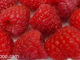 าสเบอร์รี (Raspberry) อยู่ในตระกูลเบอร์รี ผลรูปกรวย ด้านในกลวง คล้ายรูปหัวใจ ผิวเปลือกมีปุ่มกลมเล็กๆอยู่บนผล มีขนเล็กๆทั่วผล มีสีแดงเนื้อนุ่มฉ่ำน้ำ รสชาติหวานหรือเปรี้ยวตามสายพันธุ์