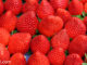 สตรอว์เบอร์รี (Strawberry) ผลมีทรงกลมรีตรงขั้วมีกลีบเลี้ยงสีเขียว เปลือกมีเมล็ดเล็กๆเกาะอยู่ มีเสี้ยนเล็กๆบางๆอยู่ทั่วผล ผลสุกสีแดงหรือสีแดงอมส้ม เนื้อนุ่มฉ่ำน้ำรสชาติเปรี้ยวหรือหวาน ตามสายพันธุ์