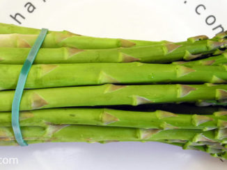 หน่อไม้ฝรั่งสีเขียว (Green Asparagus) ออกหน่อเหนือดิน จากเหง้าเป็นลำต้นเหนือดิน มีทรงกลมยาวเป็นแท่ง มีใบเป็นเกล็ดบางๆตามข้อ มีสีเขียวอ่อน