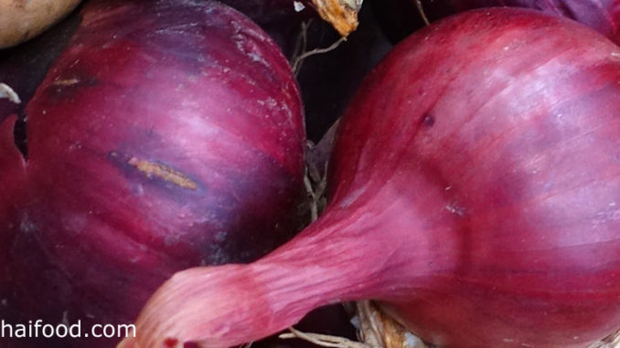 หอมหัวใหญ่สีแดง (Red Onion) เป็นหอมหัวใหญ่ชนิดหนึ่ง มีหัวอยู่ใต้ดิน หัวมีทรงกลมแป้น หรือทรงกลมรี หัวแก่มีเปลือกด้านนอกแห้งมีสีแดงอมม่วง มีกลิ่นฉุน รสชาติเผ็ดร้อน