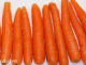 เบบี้แครอท (Baby Carrot) ลำต้นสั้นๆเชื่อมอยู่ระหว่างรากกับใบ มีรากแก้วไว้เก็บสะสมอาหาร หัวมีขนาดเล็กทรงยาวรี โคนใหญ่ปลายเรียวแหลม มีสีส้มเนื้อแน่นฉ่ำน้ำ รสชาติหวานกรอบ