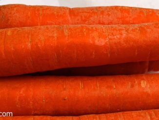 แครอท (Carrot) ลำต้นสั้นๆเชื่อมอยู่ระหว่างรากกับใบ มีรากแก้วไว้เก็บสะสมอาหาร มีหัวสีส้ม สีม่วง สีเหลือง สีแดง สีดำ สีขาวตามสายพันธุ์ รสชาติหวานกรอบ