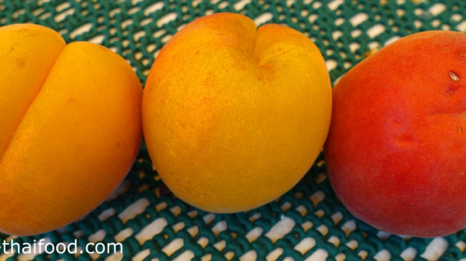 แอพริคอต (Apricot) ผลทรงกลม ผิวเปลือกมีขนนุ่มทั่วผล มีร่องกลางผลตามยาวชัดเจน มีก้านผลสั้น ผลดิบสีเขียว ผลสุกสีเหลือง สีส้ม เนื้อแน่นสีเหลือง รสชาติหวานอมเปรี้ยว มีกลิ่นหอม