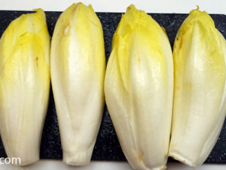 ผักชิโครี่สีขาว (White Chicory) มีใบออกตรงโคนลำต้น ออกตามข้อสั้น ออกเรียงสลับรอบๆห่อหัวปลีแน่น ใบทรงเรียวรี มีใบบางนุ่ม มีสีขาวอมเหลือง สีขาว สีครีม ตามสายพันธุ์ รสชาติออกขมเผ็ดนิดๆ