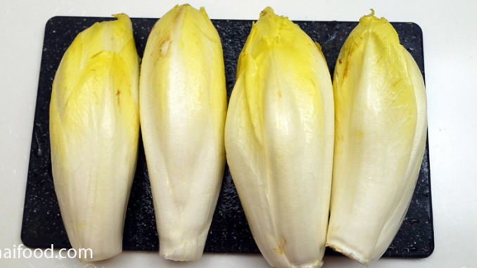 ผักชิโครี่สีขาว (White Chicory) มีใบออกตรงโคนลำต้น ออกตามข้อสั้น ออกเรียงสลับรอบๆห่อหัวปลีแน่น ใบทรงเรียวรี มีใบบางนุ่ม มีสีขาวอมเหลือง สีขาว สีครีม ตามสายพันธุ์ รสชาติออกขมเผ็ดนิดๆ